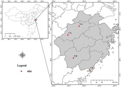 Formation of single-dominant-species patches of Dicranopteris dichotoma primarily influenced by understory light intensity